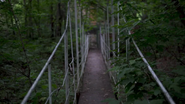 Passage över bron mitt i skogen. Förstapersonsvy — Stockfoto