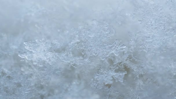 Ρεάλ δομικές γυαλιστερές νιφάδες χιονιού κοντά. — Αρχείο Βίντεο