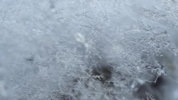 Echte strukturell glitzernde Schneeflocken schmelzen und verwandeln sich in Wasser-Makro. — Stockvideo