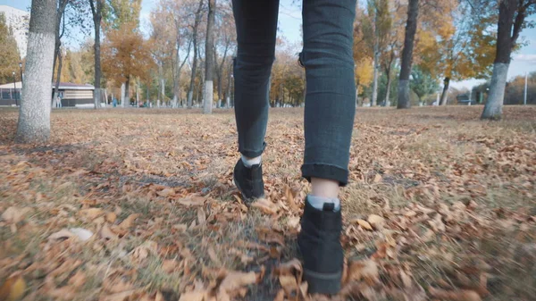 Девушка ходит на осенние листья — стоковое фото