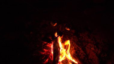 Bir grup arkadaş yakın planda çubukta marşmelov kızartıyorlar. Geceleri kamp ateşi.