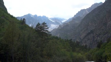 Yüksek karlı dağların manzarası.