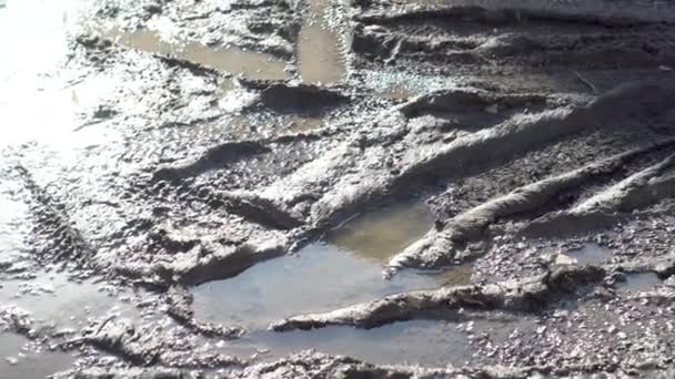 Stopy aut na mokré zemi. Detailní záběr špíny. — Stock video