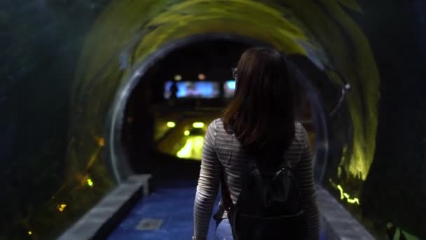 水族館のトンネルを眼鏡をかけた若い女性が歩いている。少女はガラスの後ろの海洋生物を見て. — ストック動画
