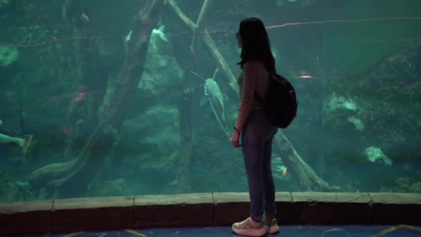 Een jonge vrouw in het aquarium kijkt naar het zeeleven. Het meisje kijkt naar de zwemmende vis. — Stockvideo