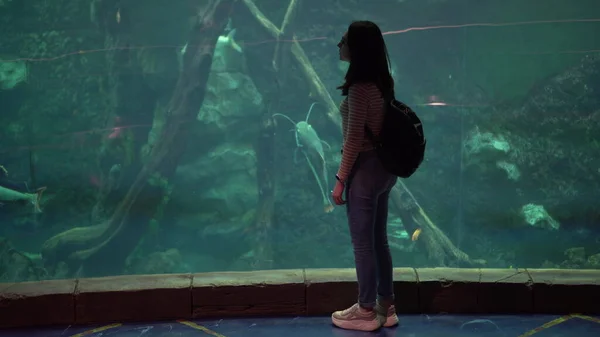 Uma jovem mulher no oceanário olha para a vida marinha. A menina olha para o peixe nadador. — Fotografia de Stock