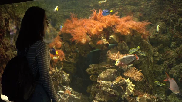 Uma jovem mulher no oceanário olha para a vida marinha. A menina olha para o peixe nadador. — Fotografia de Stock