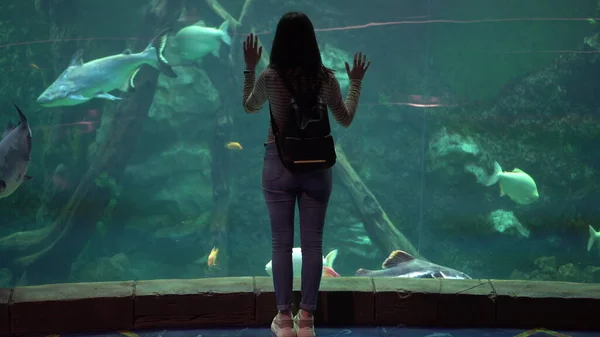 Una joven en el oceanario mira la vida marina. La chica mira a los peces nadadores. — Foto de Stock