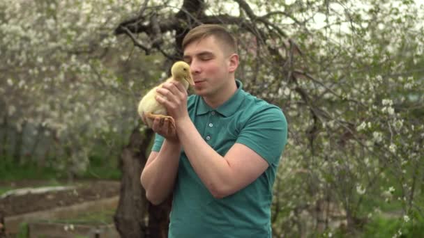 Un jeune homme tient un vrai canard dans ses bras. Un homme dans le jardin avec un oiseau. — Video