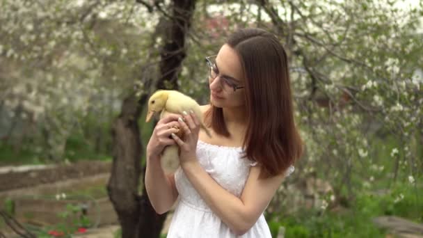 Młoda kobieta w białej sukience trzyma w ramionach kaczątko. Dziewczyna w ogrodzie z ptakiem. — Wideo stockowe