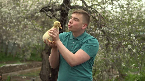 Ein junger Mann hält ein echtes Entlein auf dem Arm. Ein Mann im Garten mit einem Vogel. — Stockfoto