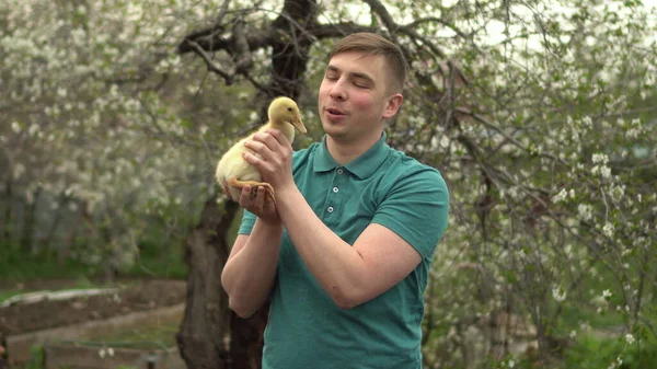 Un joven sostiene a un verdadero patito en sus brazos. Un hombre en el jardín con un pájaro. — Foto de Stock