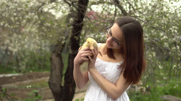 Uma jovem de vestido branco tem um patinho nos braços. Menina no jardim com um pássaro. — Fotografia de Stock