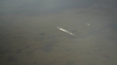 Ölü bir balık gölde göbek yukarı yüzer. Ekolojik felaket, balıkların toplu ölümü.