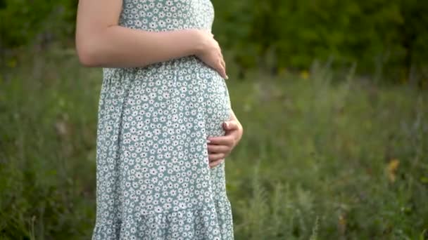 A young pregnant woman stands and holds her belly with her hands. Girl in a dress in nature. — Stock Video