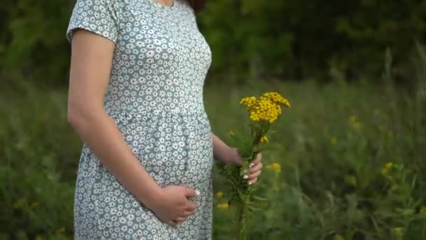Šťastná mladá těhotná žena chodí v přírodě a hladí ji po břiše. Dívka v šatech a s květinami v ruce. — Stock video