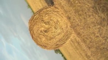 Tarlada dönen saman yığını. Tarlada hasat. Kamera döner ve samana yaklaşır..