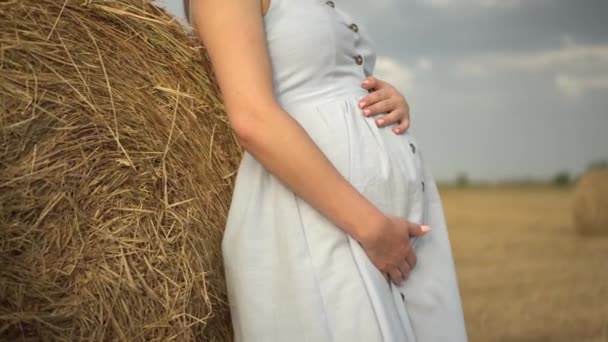 Una joven embarazada está parada cerca de un pajar en un campo. Una chica con un primer plano vestido azul. — Vídeo de stock