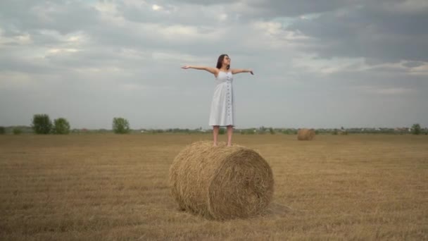 Une jeune femme se tient sur une meule de foin dans un champ et écarte les bras. Fille avec des lunettes et une robe bleue. — Video