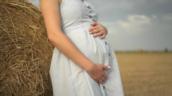 O tânără gravidă stă lângă un carul cu fân pe un câmp. O fată cu o rochie albastră closeup . — Fotografie, imagine de stoc