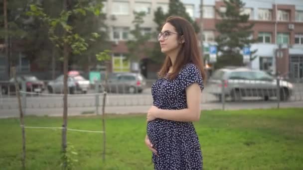 Uma jovem grávida caminha ao longo do beco e toca o estômago com as mãos. Menina com óculos e um vestido no parque. — Vídeo de Stock