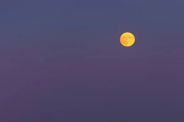 Pleine Lune Jaune Sur Ciel Violet Crépuscule — Photo