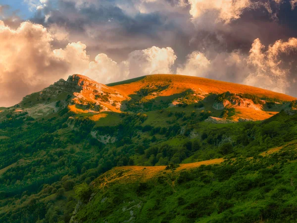 美しい光が差し込む五葉松山 — ストック写真