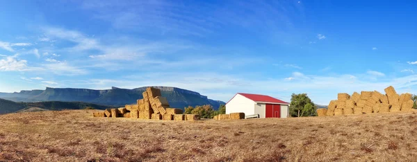 Panorama con fardos de granja — Foto de Stock