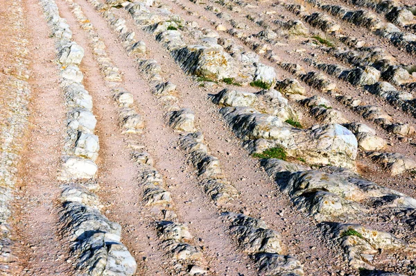 Rochas sedimentares em zumaia chamadas Flysch — Fotografia de Stock