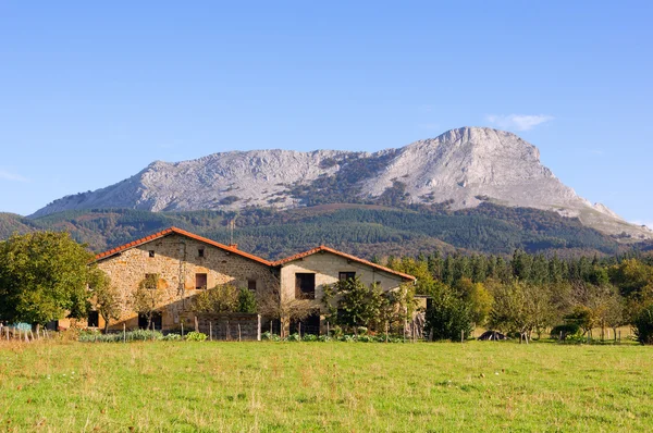 Casas en Olaeta cerca del pico Anboto —  Fotos de Stock