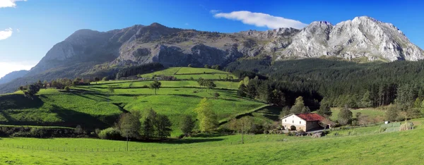 Maison dans la vallée de l'Atxondo — Photo