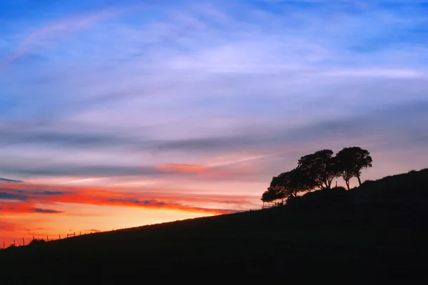 Bomen silhouet tegen avondrood — Stockfoto