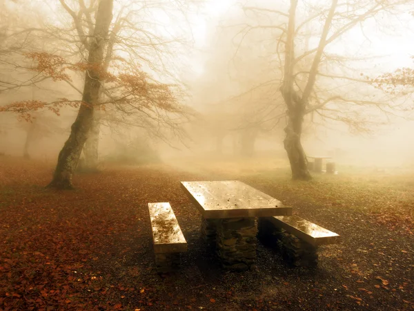 Picnic table in foggy forest — Stock Photo, Image