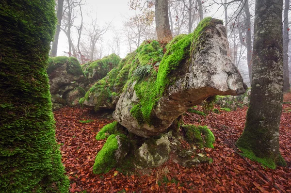 Осадових порід з примхливої форми в Urbasa — стокове фото