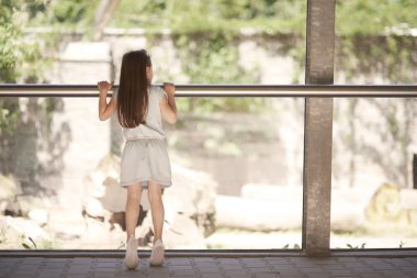 Hayvanat bahçesinde meraklı küçük kız 