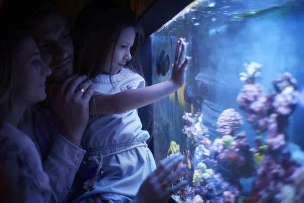 Joven familia viendo cómo la vida un pez —  Fotos de Stock