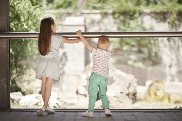 Gyermekek séta az állatkertben — Stock Fotó