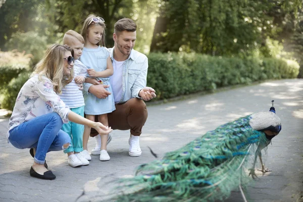 Family spending day at the zoo. — Stock Photo, Image