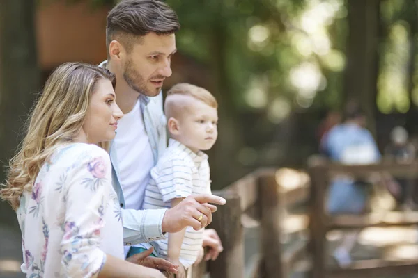 Family looking on interesting animal at the zoo — Stock Photo, Image