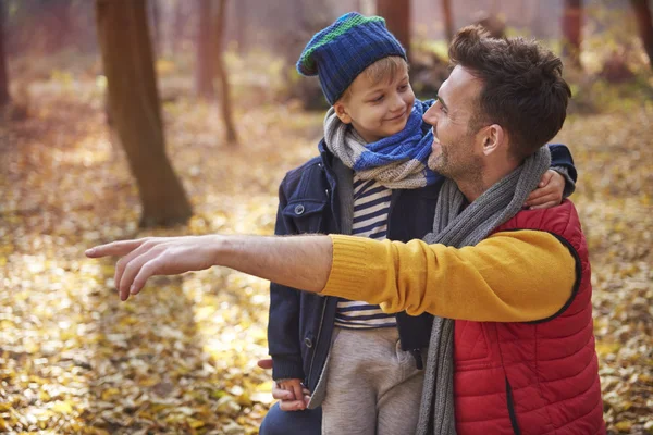 Father with son walking in the forest — Stock Photo, Image