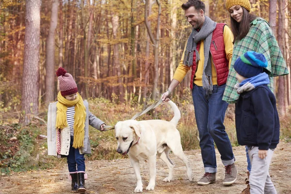 Familia paseando con el perro en el bosque — Foto de Stock