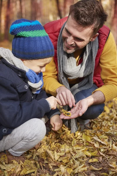 Padre con suo figlio che cammina nella foresta — Foto Stock