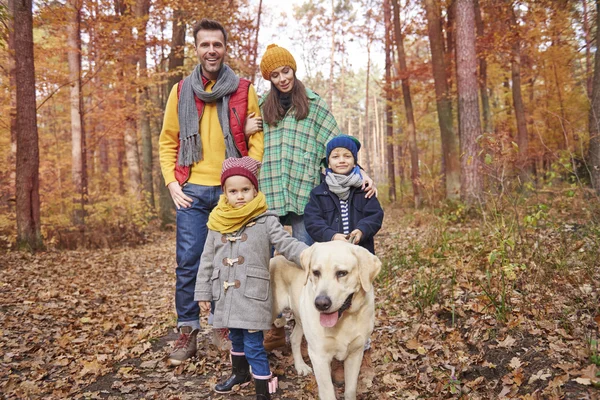 Rodzinne spacery z psem w lesie — Zdjęcie stockowe