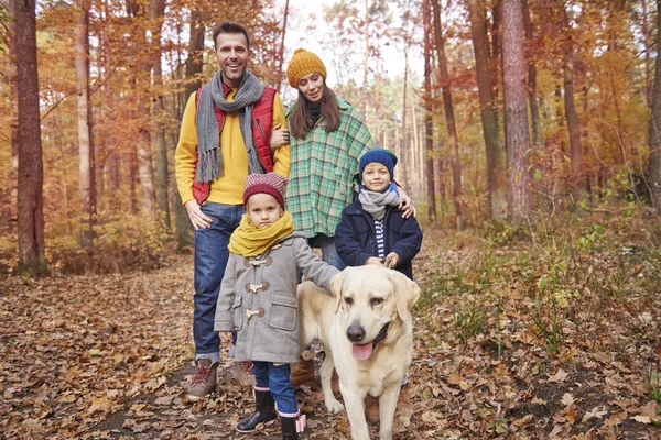 Passeggiata in famiglia con cane nella foresta — Foto Stock