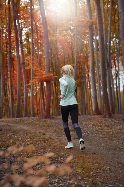 Sonbahar ormanda koşu kadın, — Stok fotoğraf
