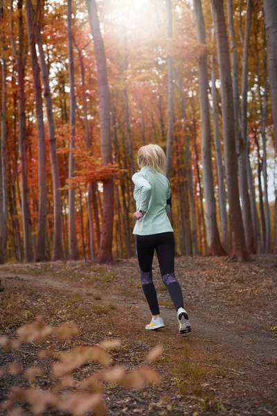 Donna che corre nella foresta autunnale , — Foto Stock