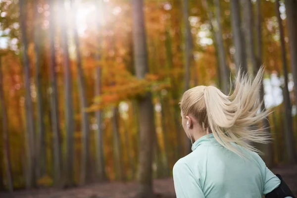 在秋天的树林慢跑的女人. — 图库照片