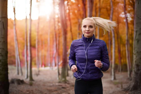 Молодая спортивная женщина бегает в лесу — стоковое фото
