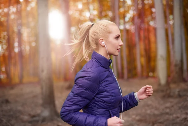 Sporty woman running in autumn forest — Stock Photo, Image