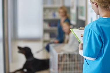 hayvan hosprtal, veteriner Kliniği